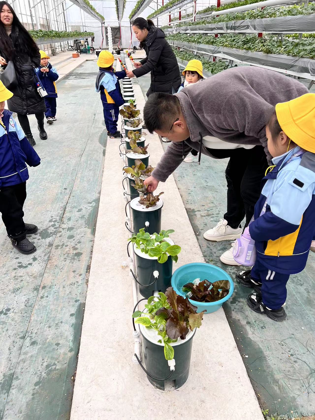 微信图片_20231213162423 微信图片_20231213162423