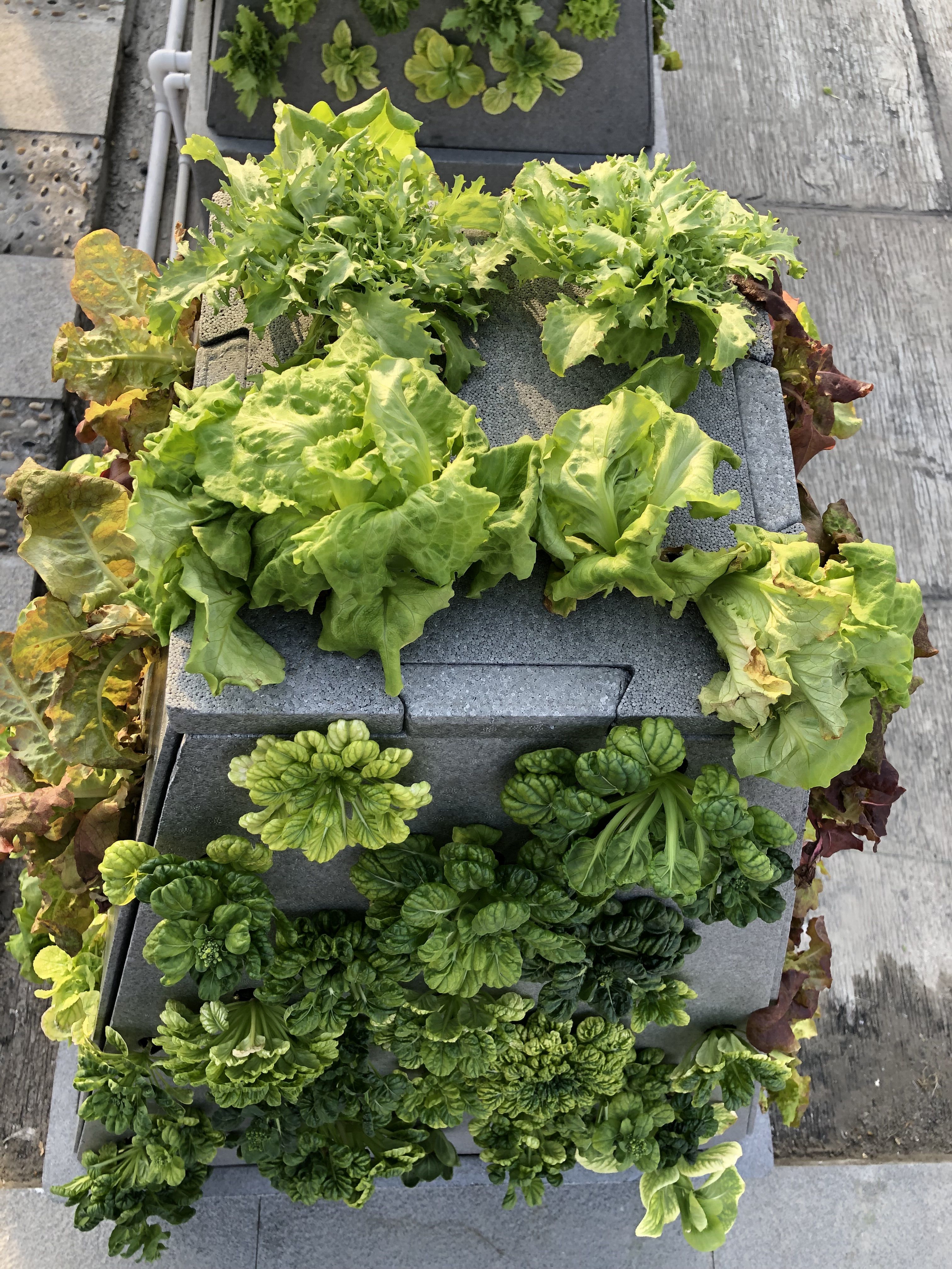 QQ图片20230303163901 QQ图片20230303163901