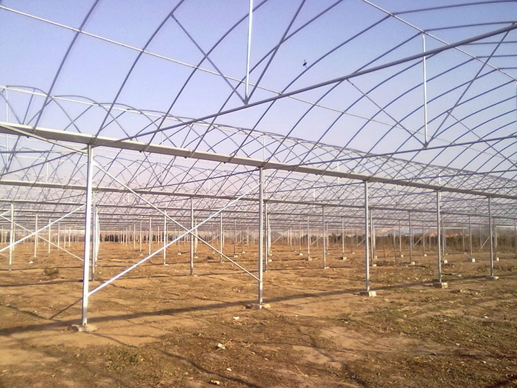 multispan greenhouse multispan greenhouse