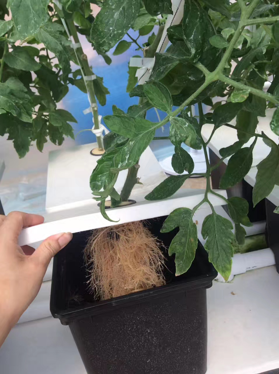 微信图片_20201225104322 微信图片_20201225104322