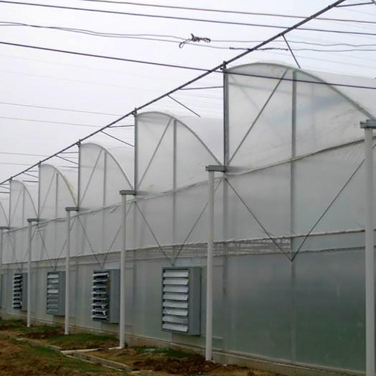 multispan greenhouse multispan greenhouse