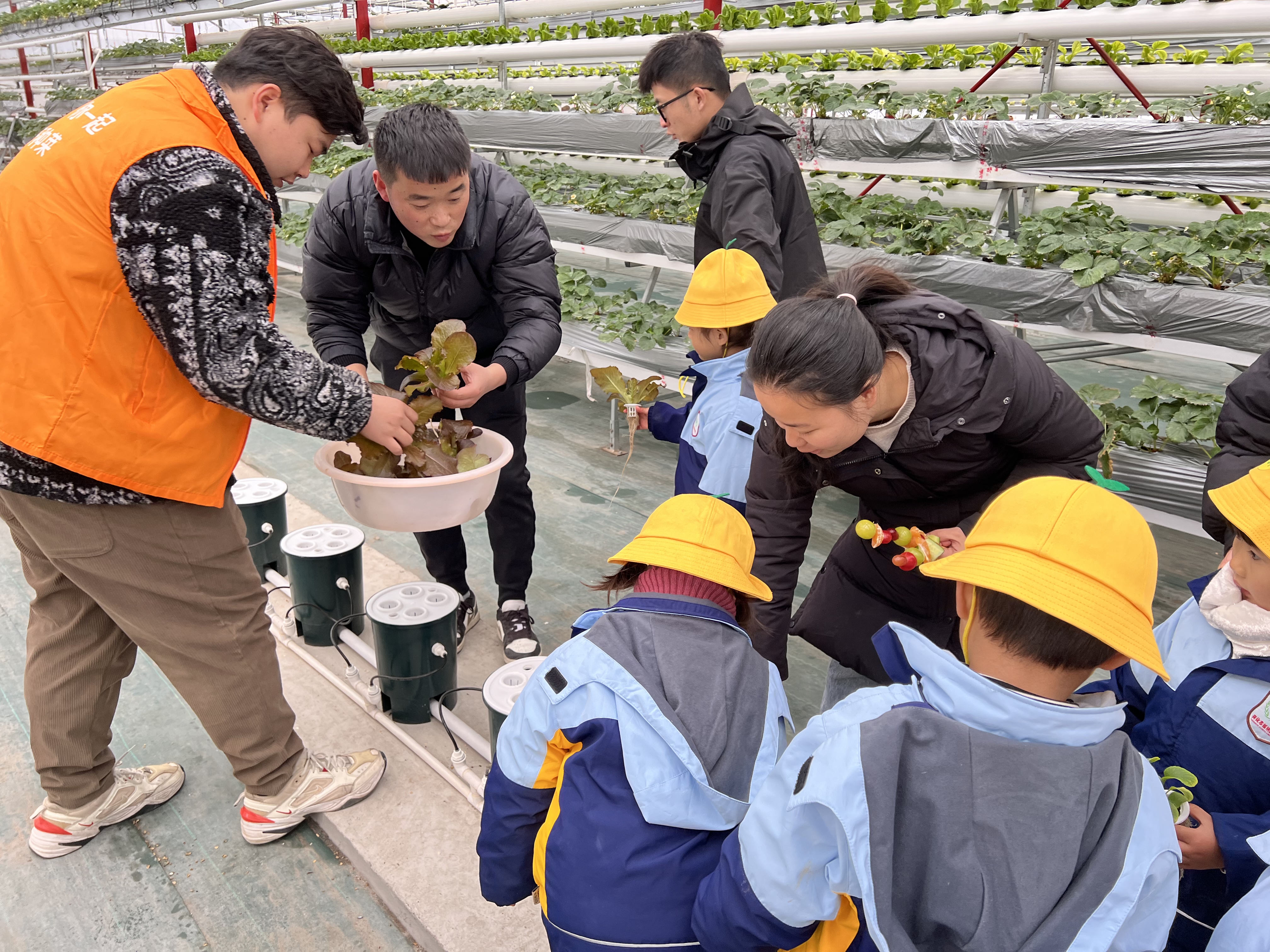 微信图片_202312131624243 微信图片_202312131624243