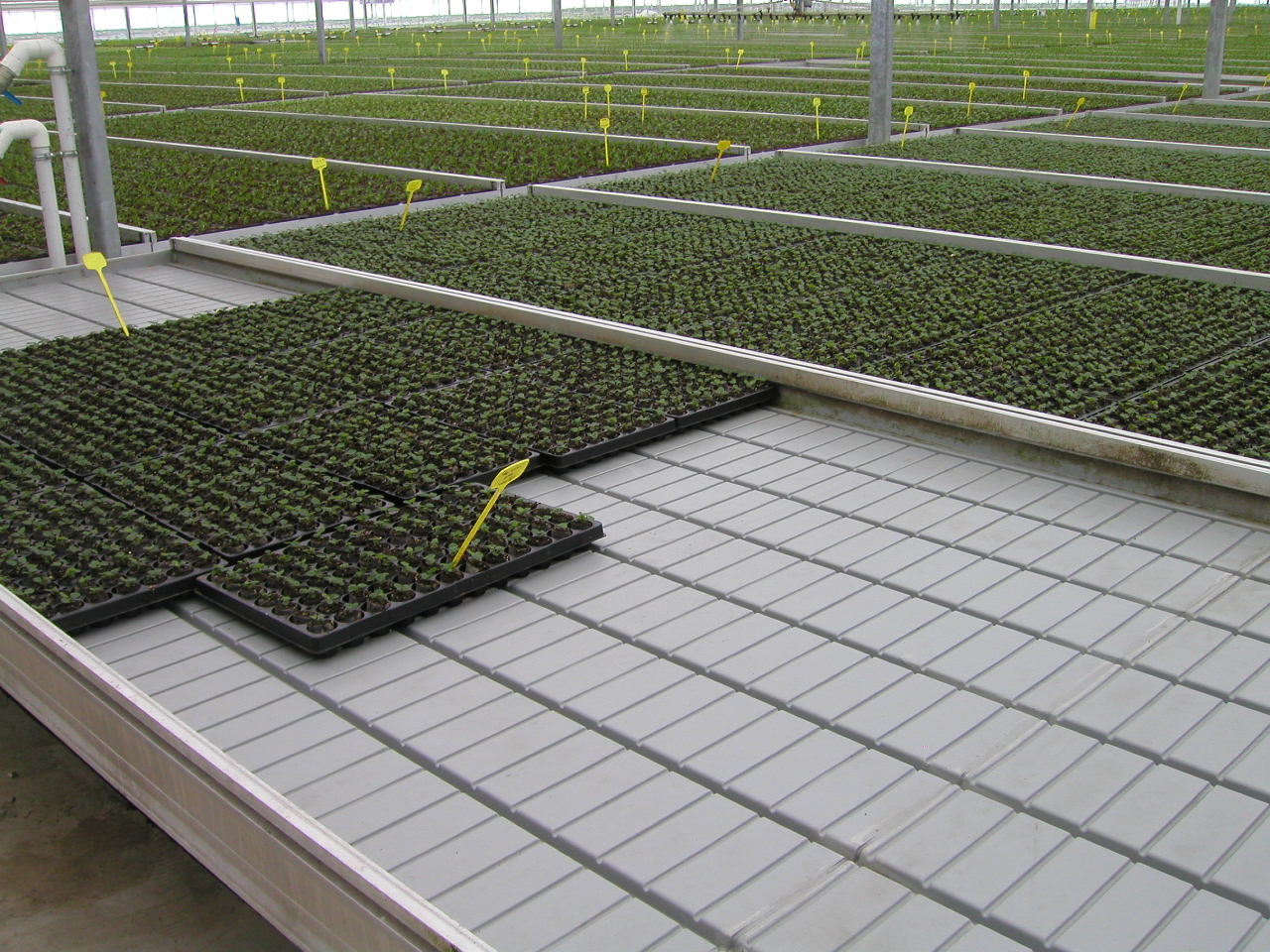 rolling bench ebb rolling bench