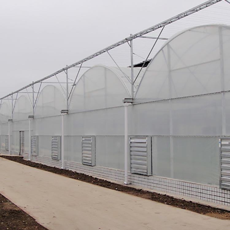multispan greenhouse multispan greenhouse