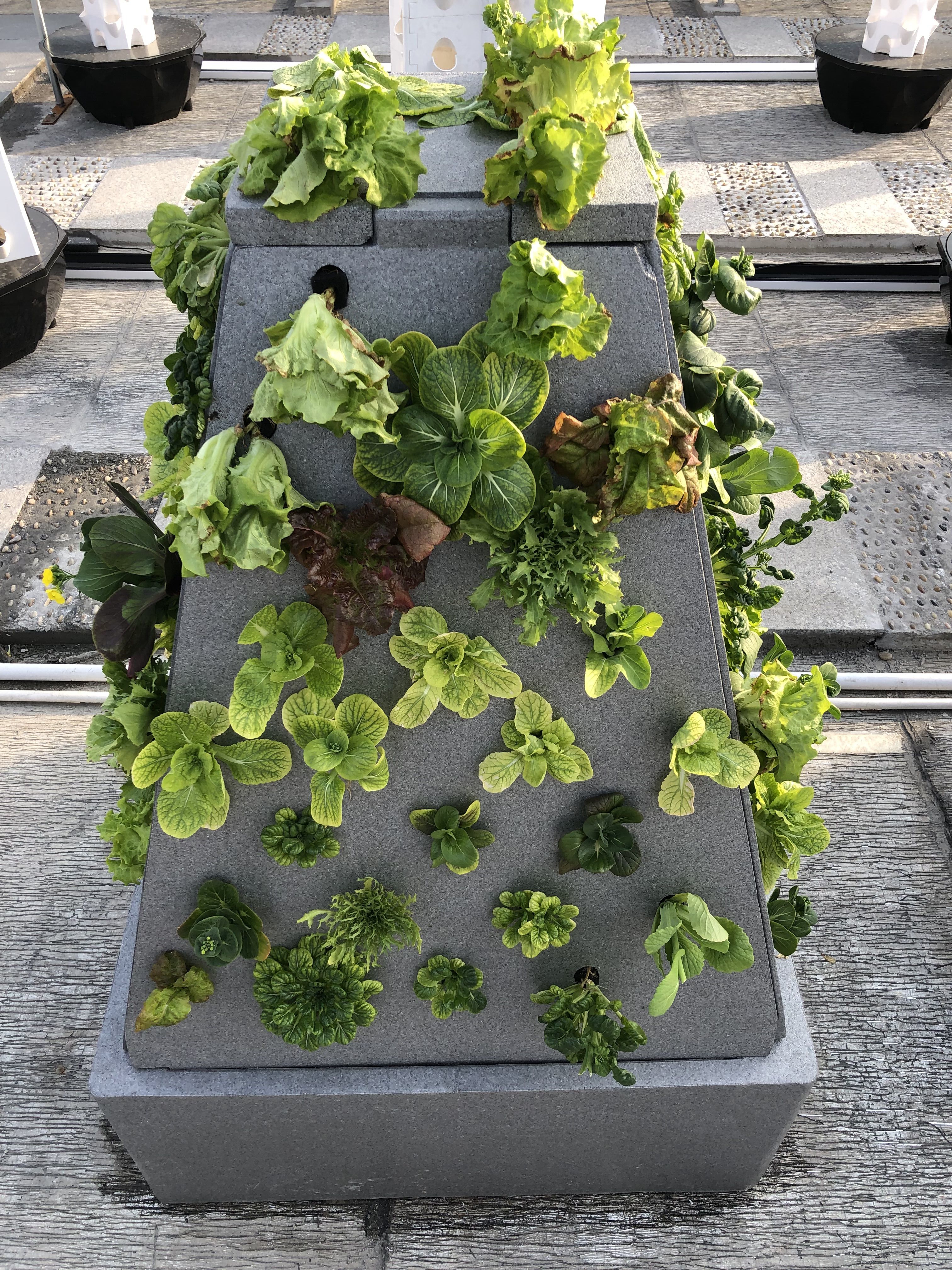 QQ图片20230303163833 QQ图片20230303163833