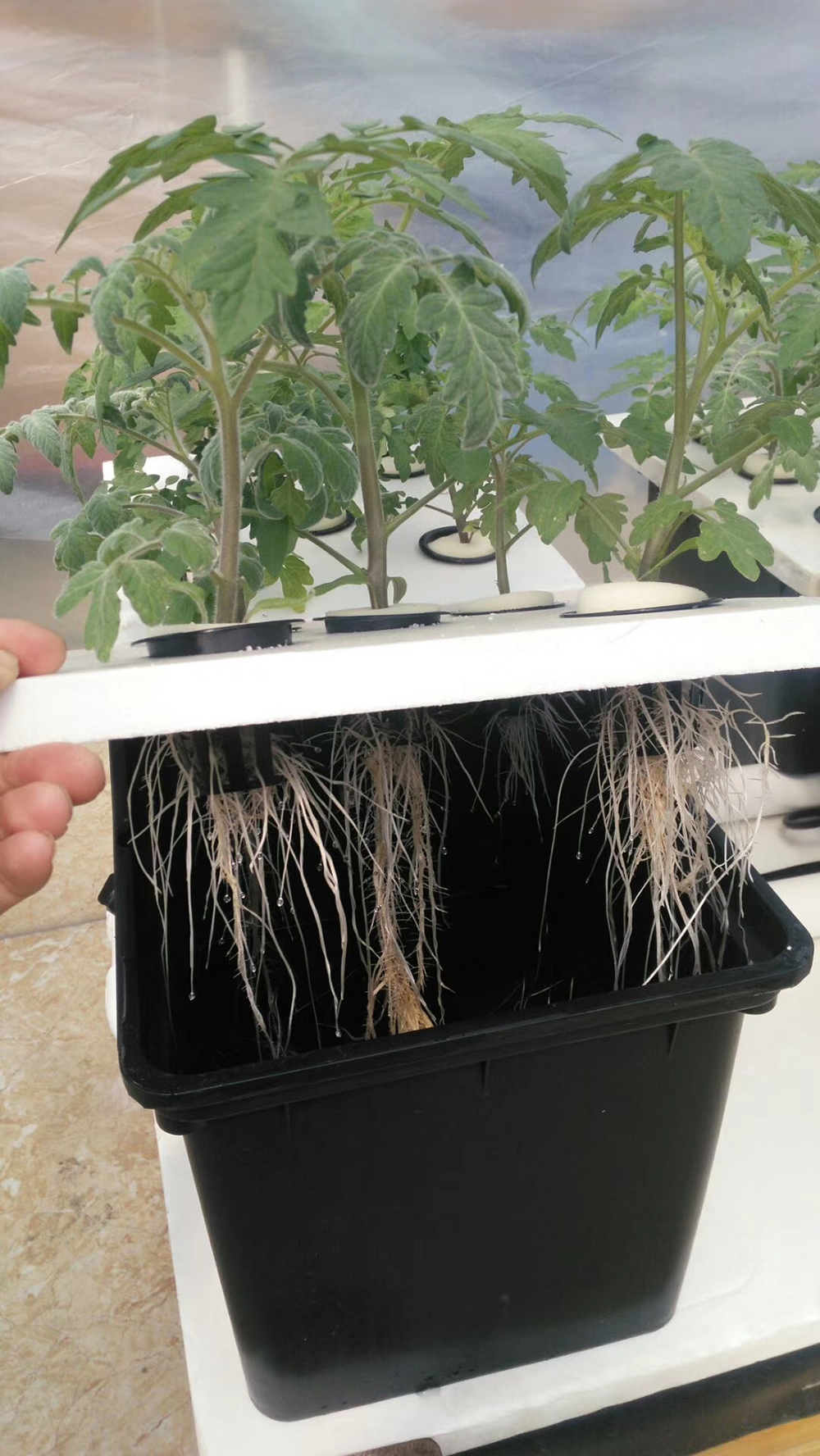 微信图片_20201225104319 微信图片_20201225104319