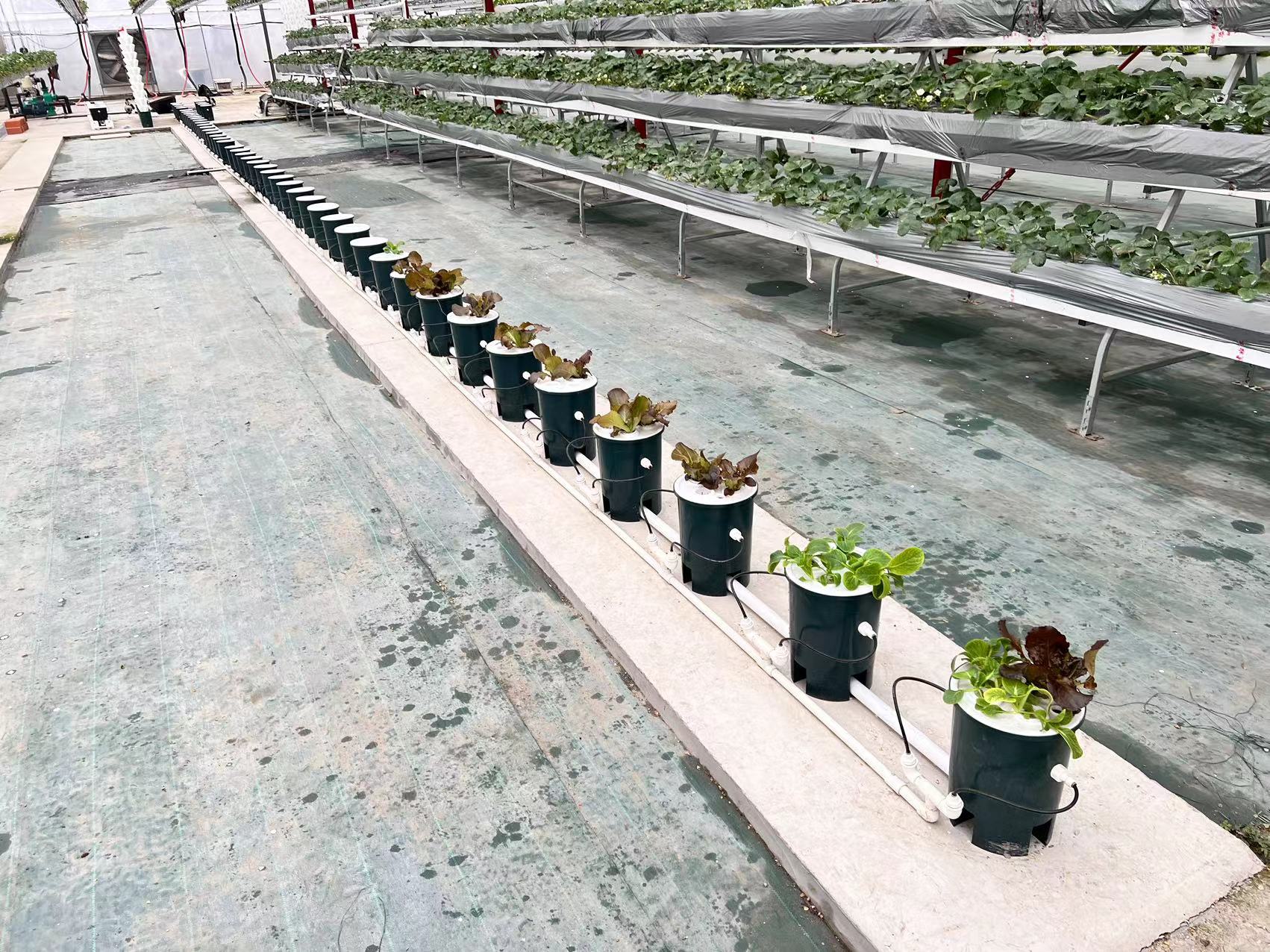 微信图片_202312131624231 微信图片_202312131624231