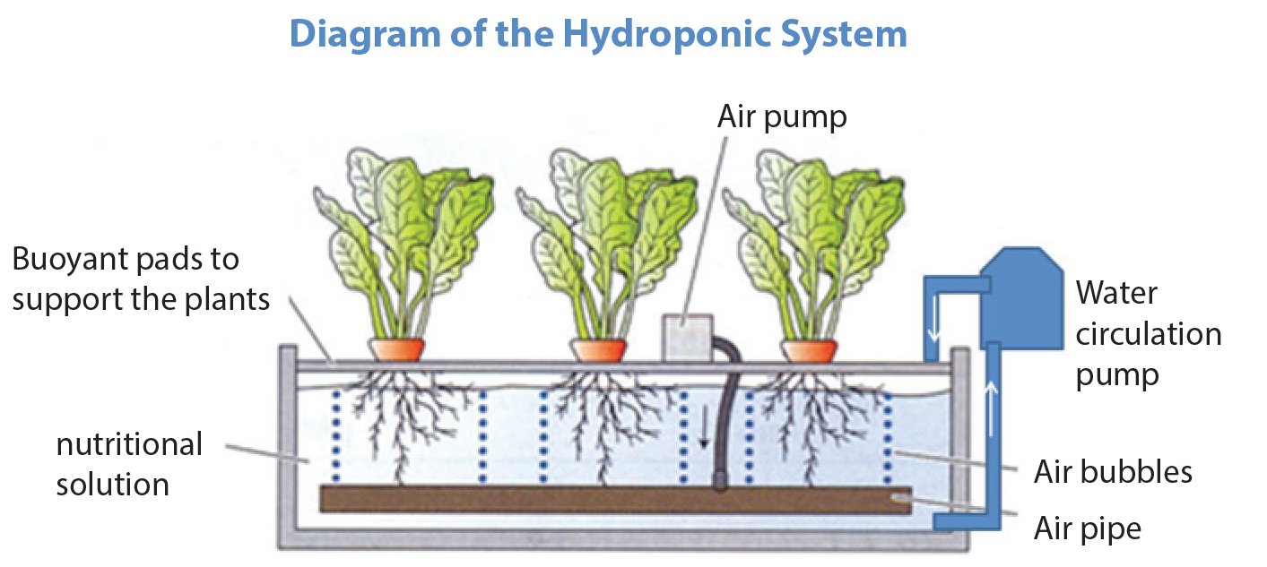 Greenhouse Hydroponic Pipes Greenhouse Hydroponic Pipes