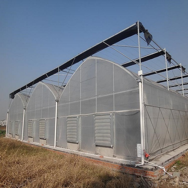 multispan greenhouse multispan greenhouse