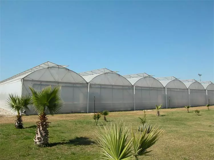 multispan greenhouse multispan greenhouse