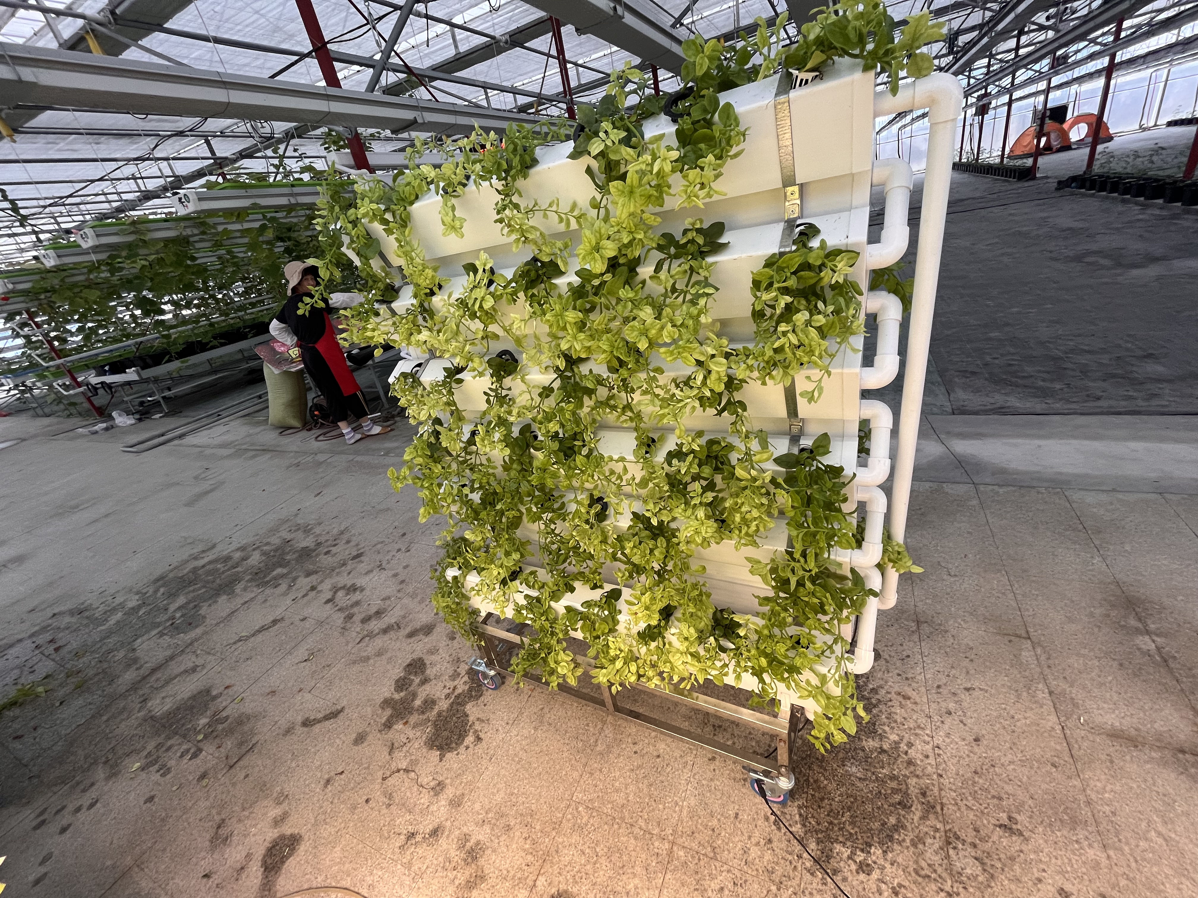 Hydroponics Vertical Tower