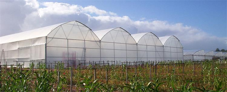 multispan greenhouse multispan greenhouse