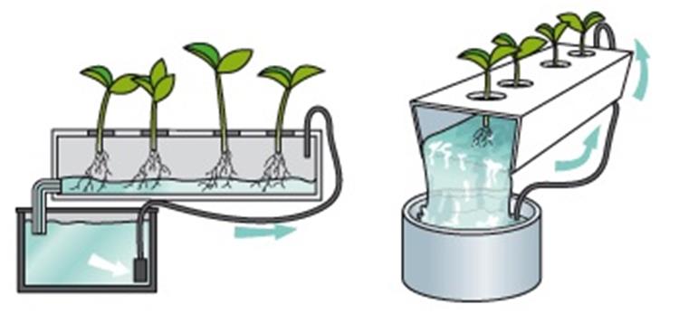 Greenhouse Hydroponic Pipes Greenhouse Hydroponic Pipes