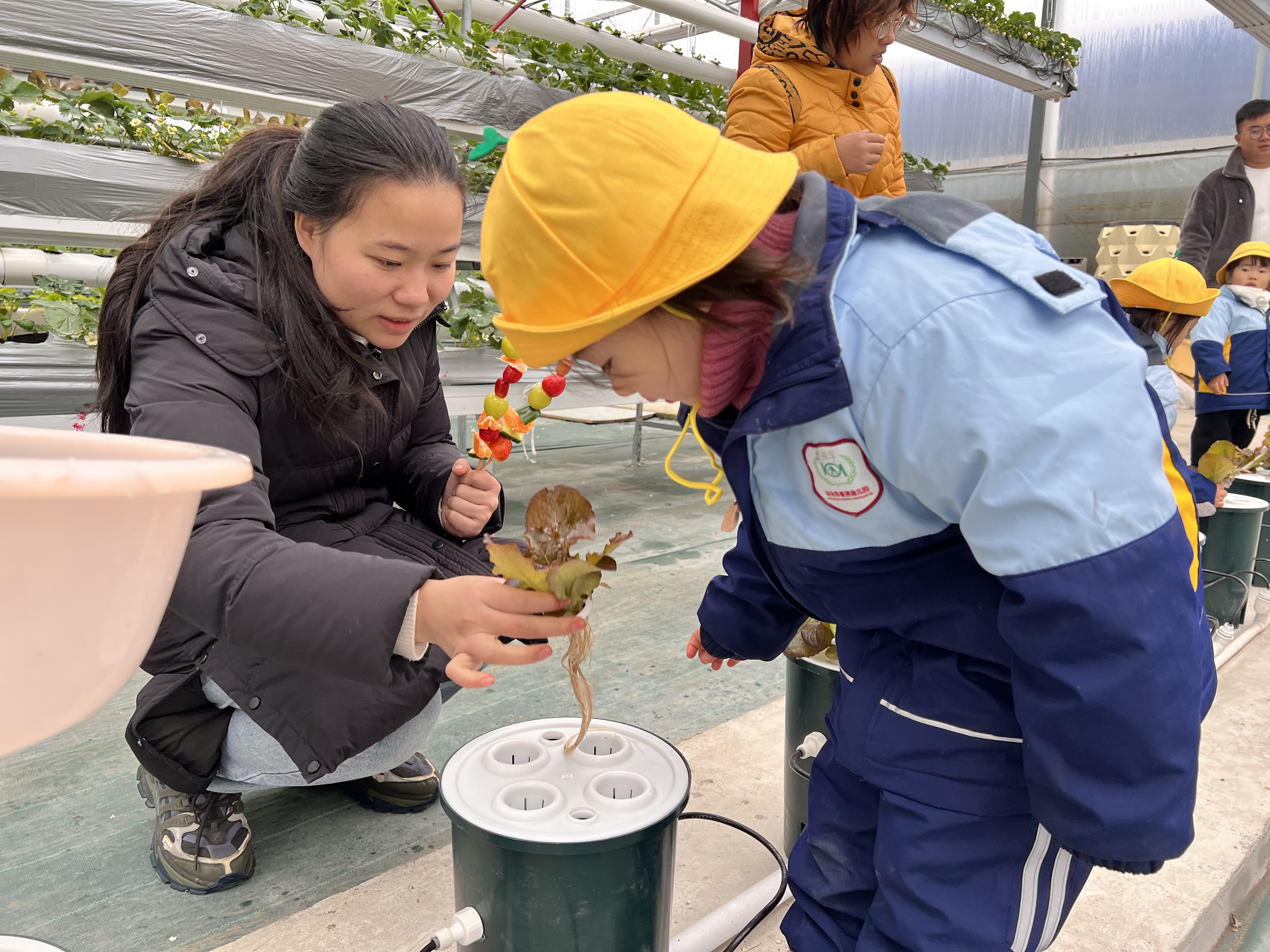 微信图片_20231213162422 微信图片_20231213162422