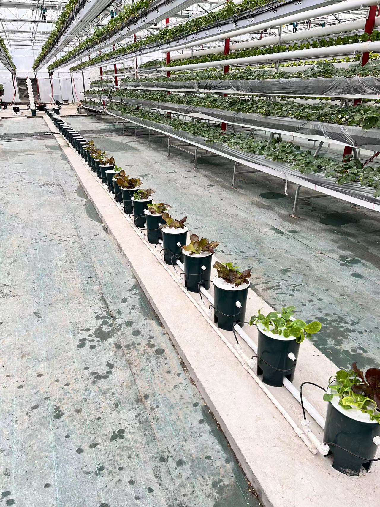 微信图片_202312131624242 微信图片_202312131624242