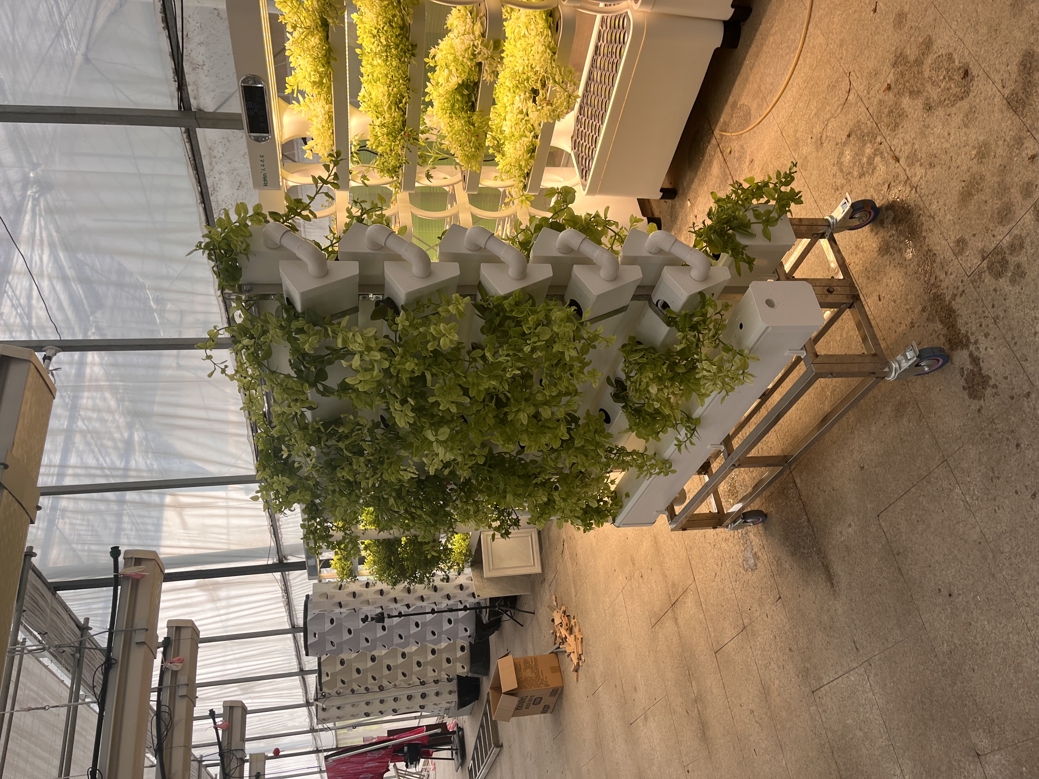 Hydroponics Vertical Tower