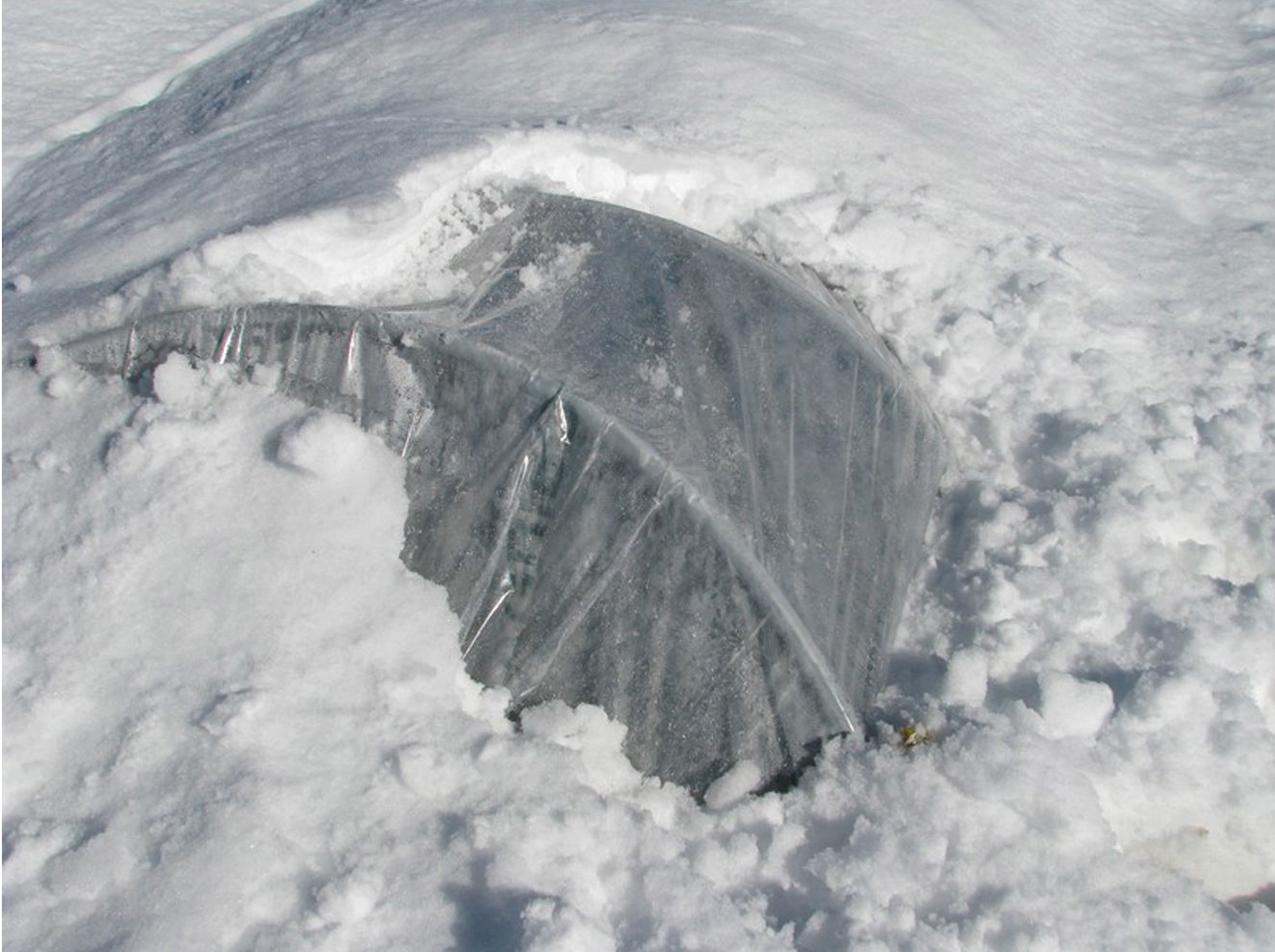 Ethylene-vinyl acetate greenhouse film Ethylene-vinyl acetate greenhouse film