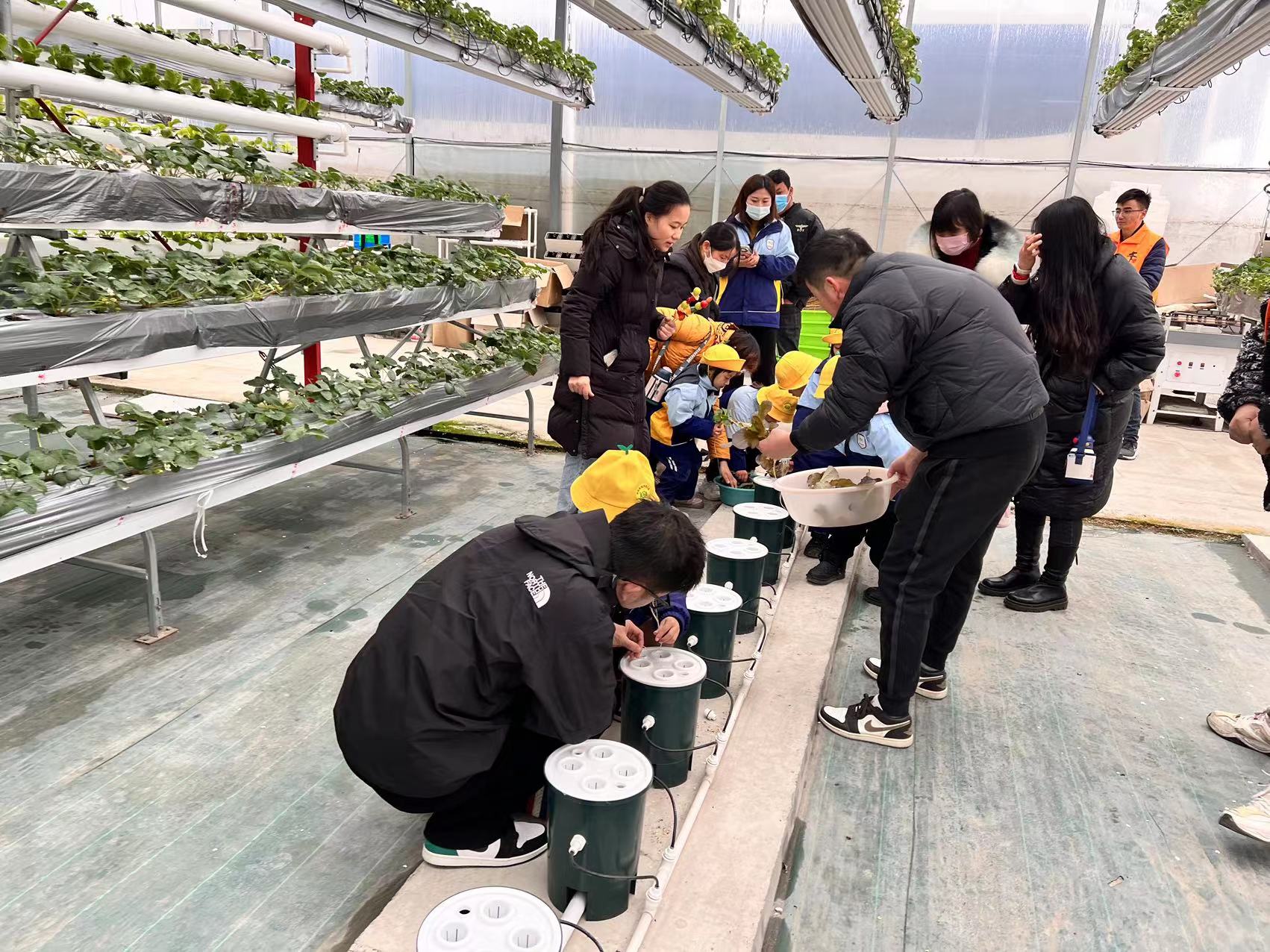 微信图片_202312131624244 微信图片_202312131624244