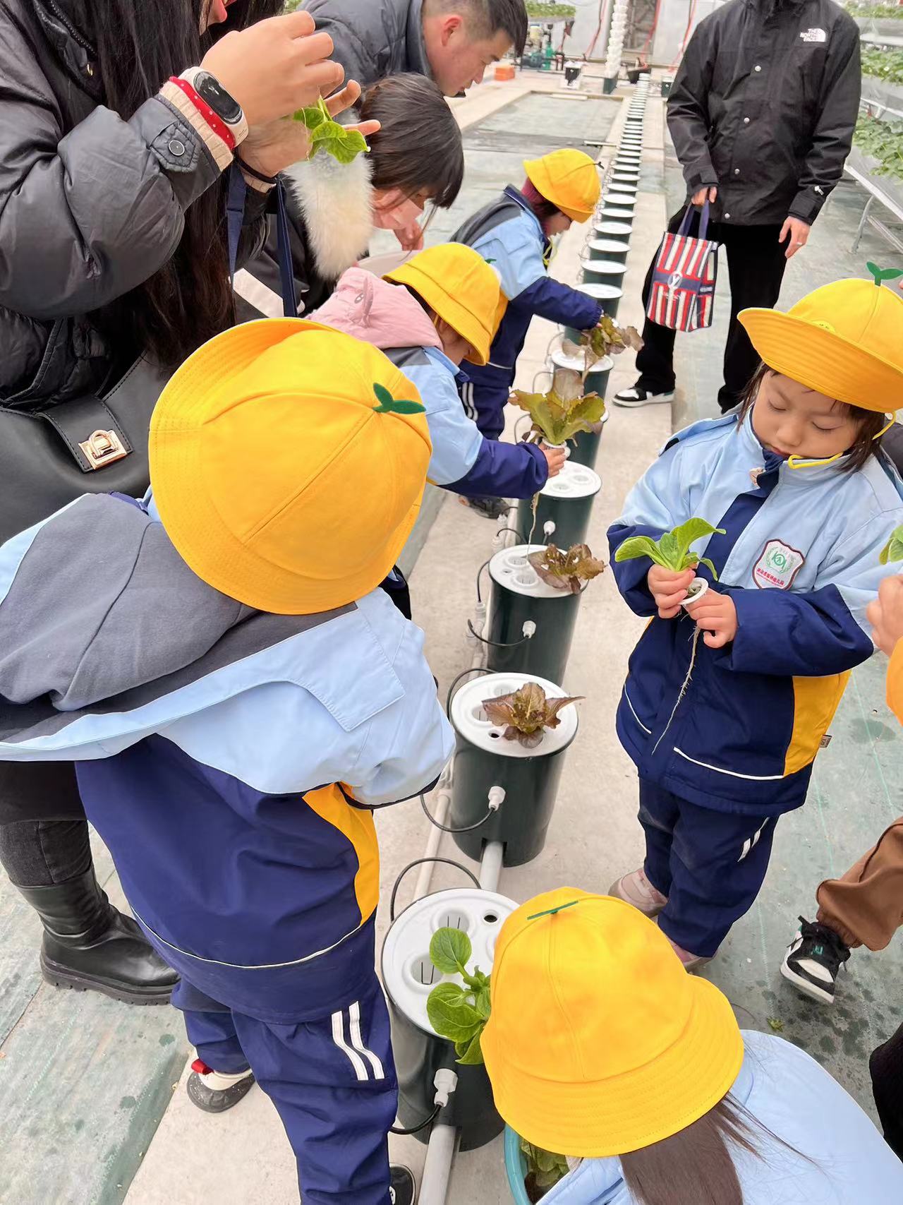 微信图片_202312131624245 微信图片_202312131624245