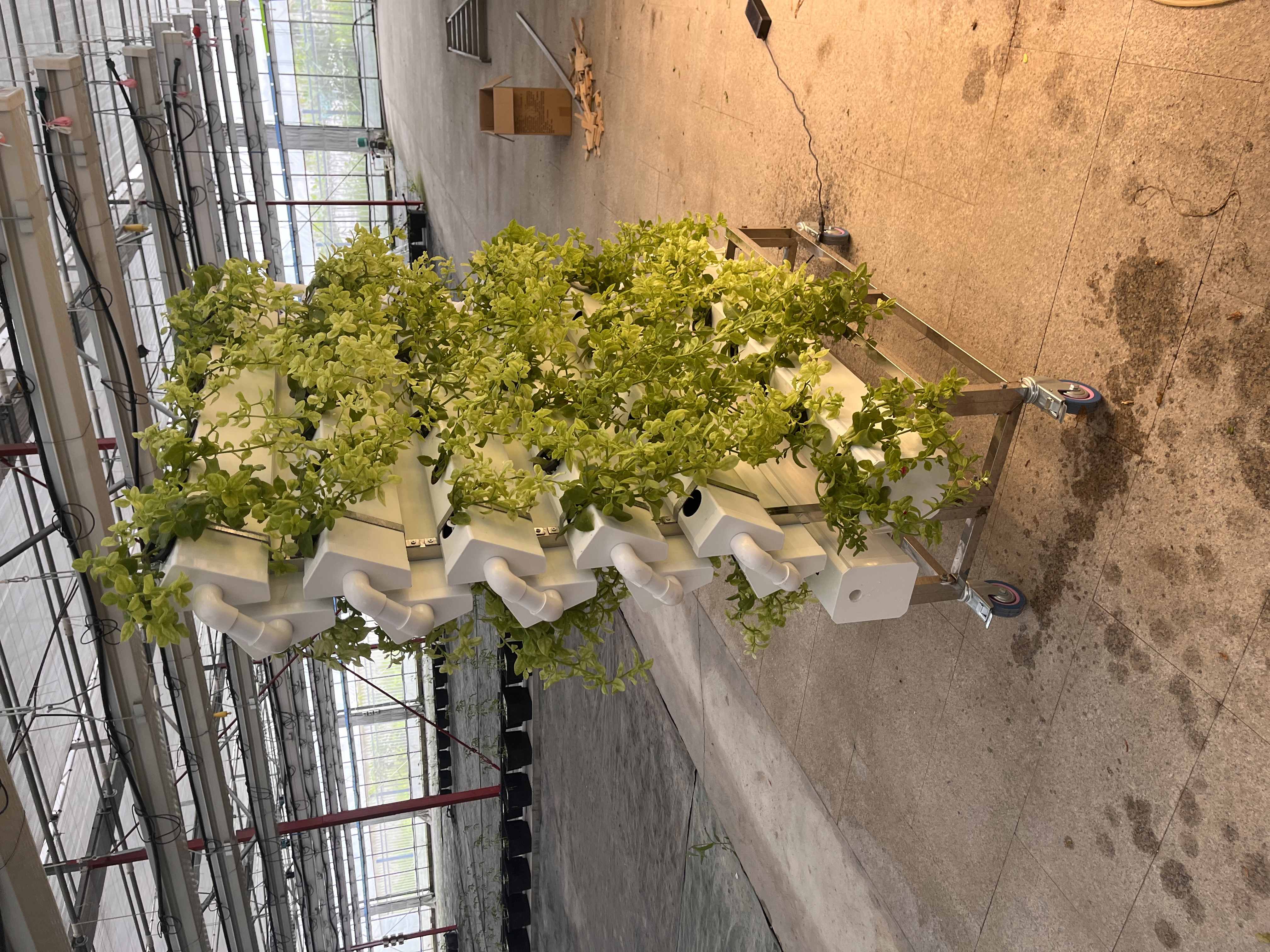 Hydroponics Vertical Tower