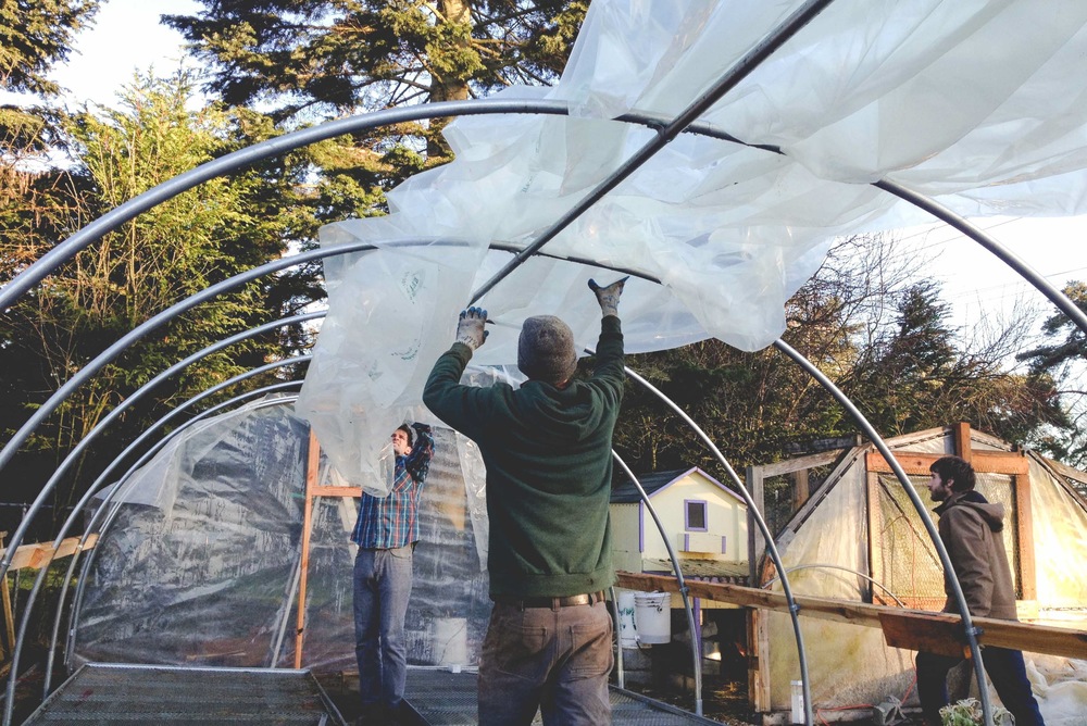 Ethylene-vinyl acetate greenhouse film Ethylene-vinyl acetate greenhouse film