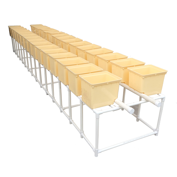 dutch bucket dutch bucket