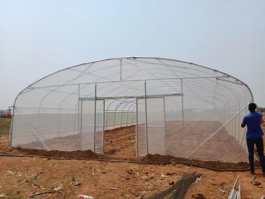 greenhouse 9x30 m