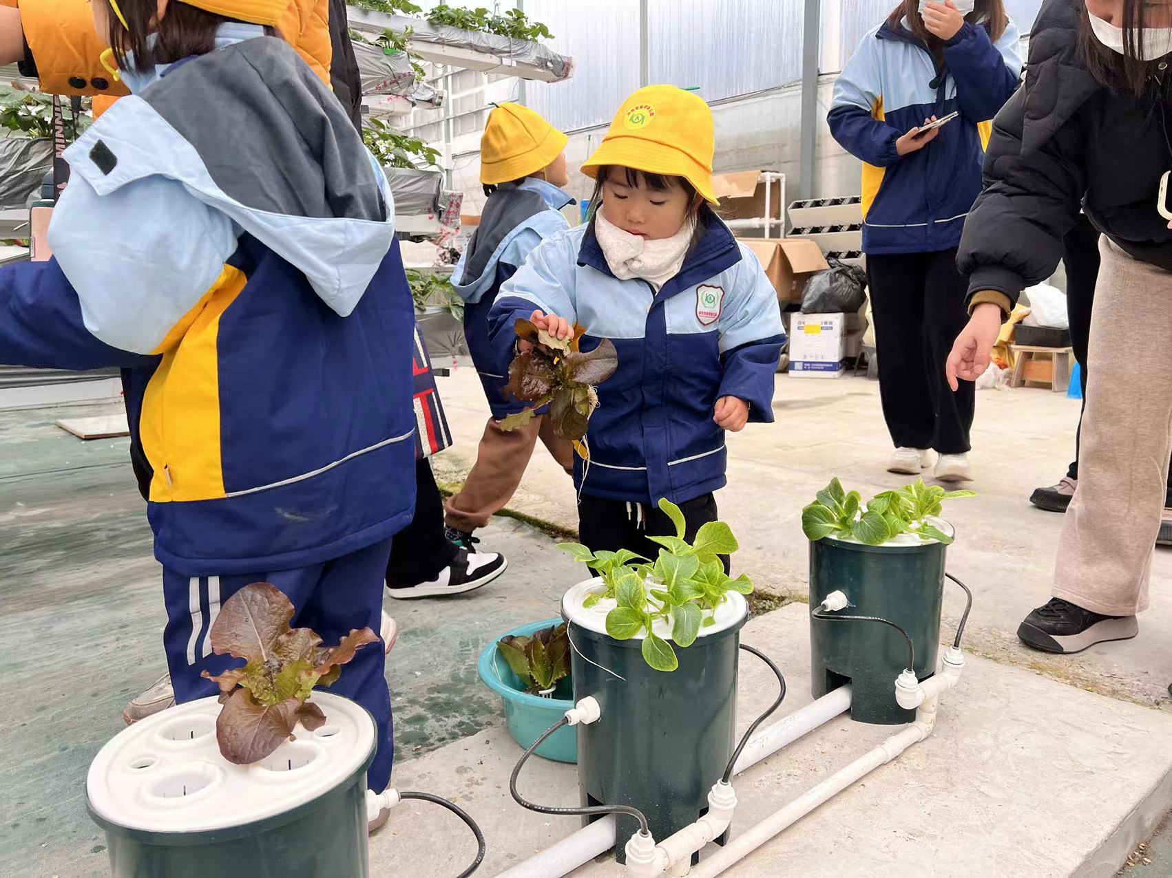 微信图片_20231213162312 微信图片_20231213162312