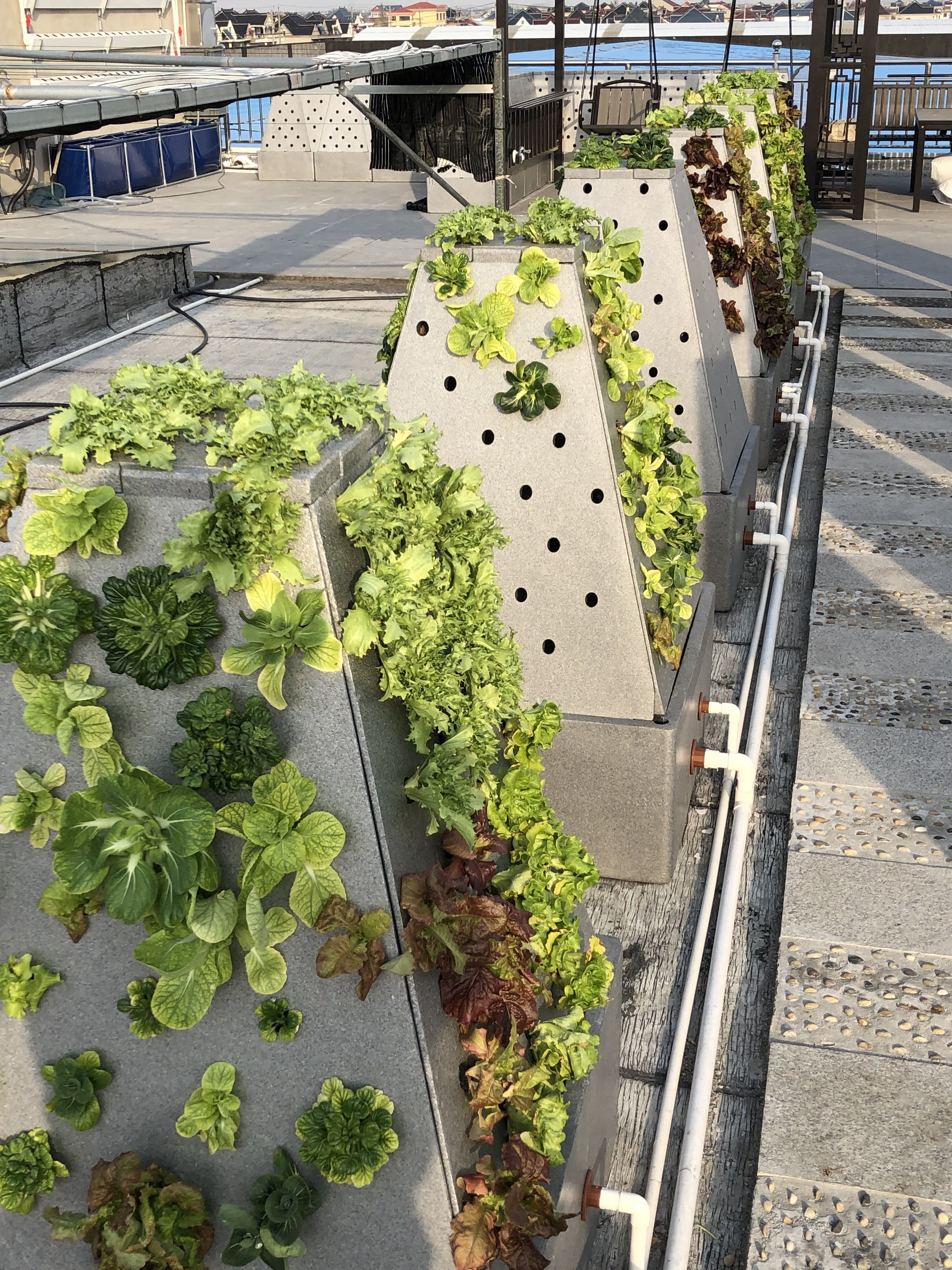 QQ图片20230303163853 QQ图片20230303163853