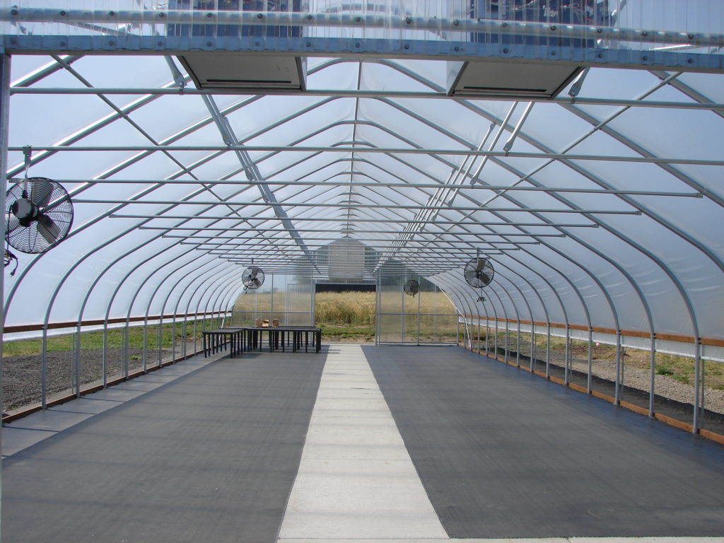 Ethylene-vinyl acetate greenhouse film Ethylene-vinyl acetate greenhouse film