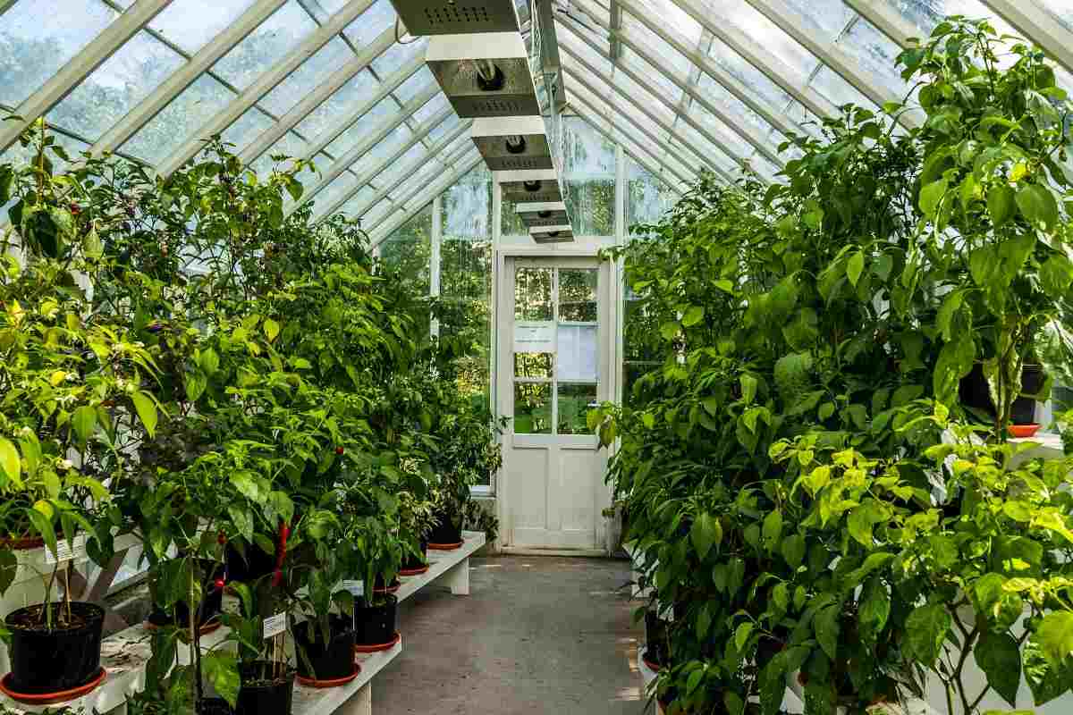 PC sheet Aluminum garden greenhouse