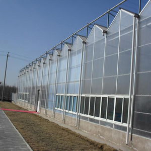 Commercial Climate-proof Traditional PC Board Greenhouse