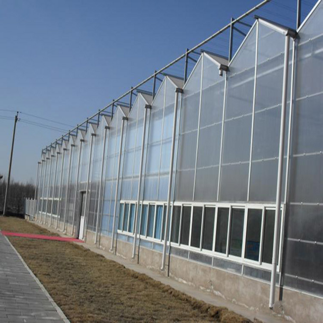 Commercial Climate-proof Traditional PC Board Greenhouse