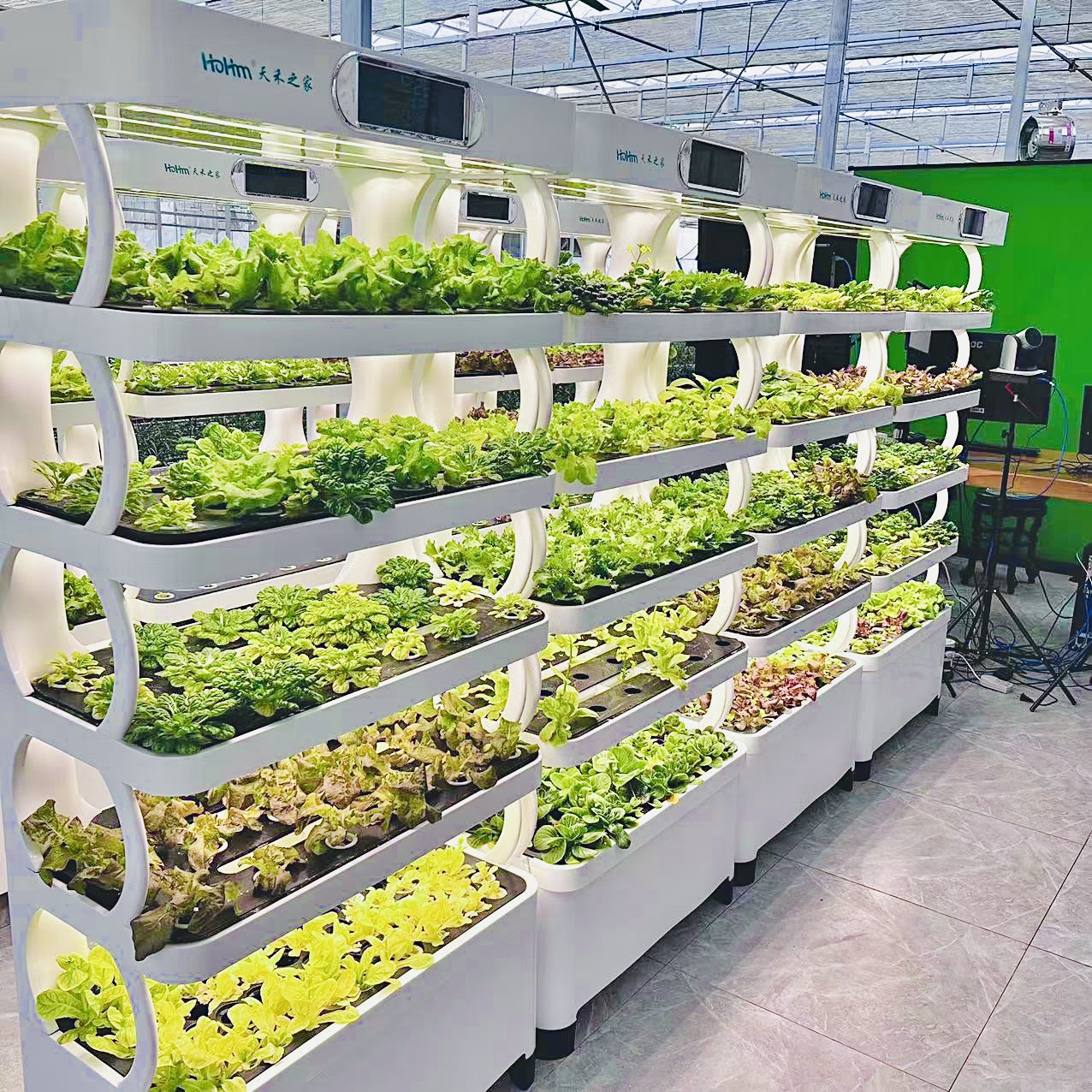 Indoor Smart Garden Hydroponic
