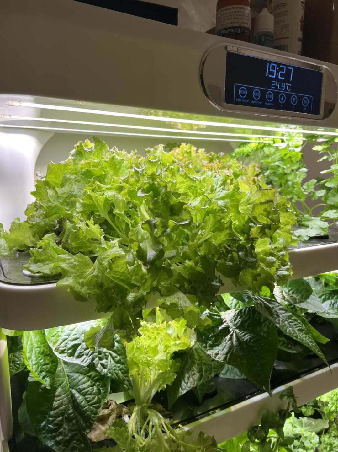 Vertical hydroponics