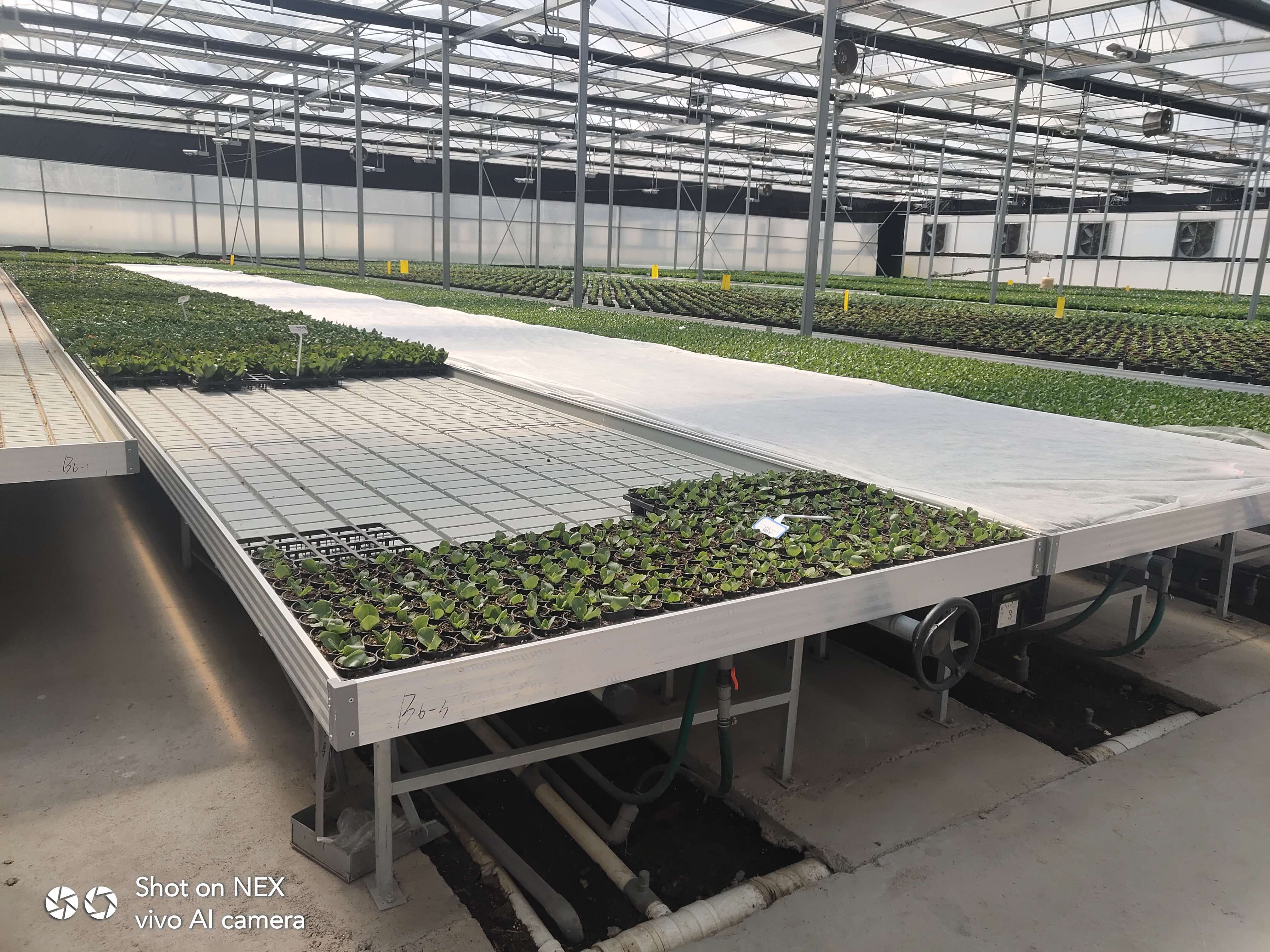 Sliding greenhouse rolling bench