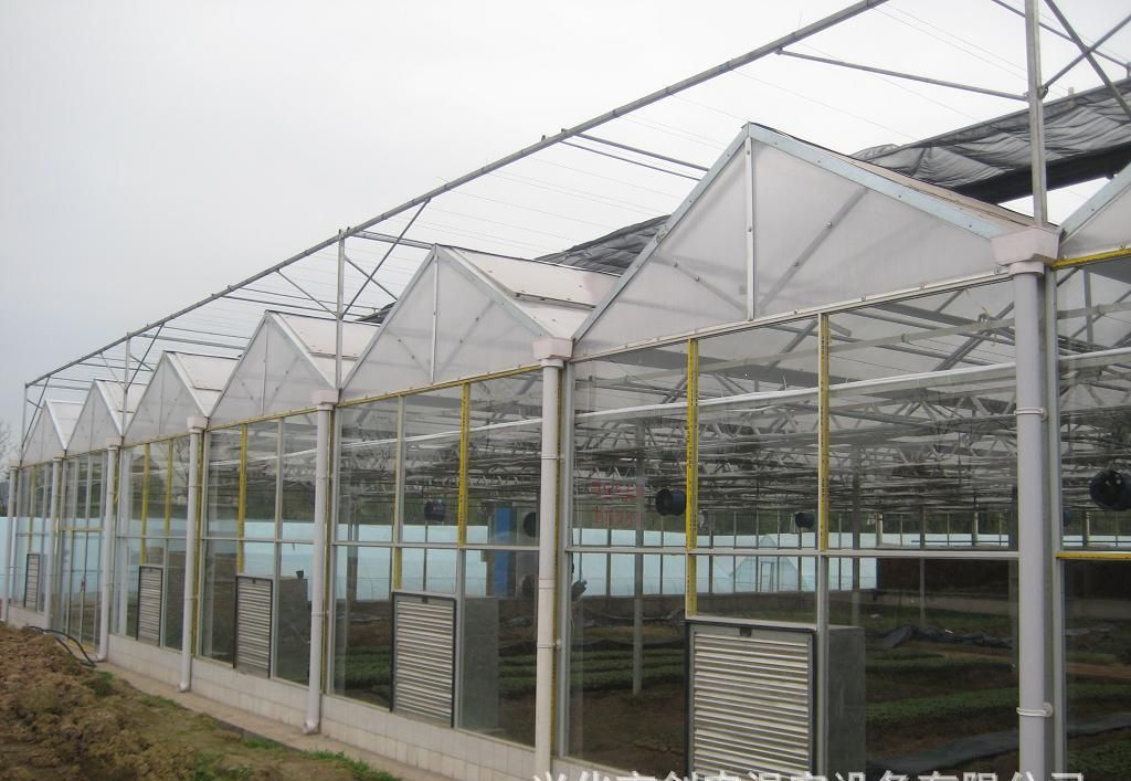 Agricultural Automated Sawtooth glass greenhouse