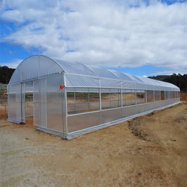 UV-resistant Curved Agricultural tunnel greenhouse