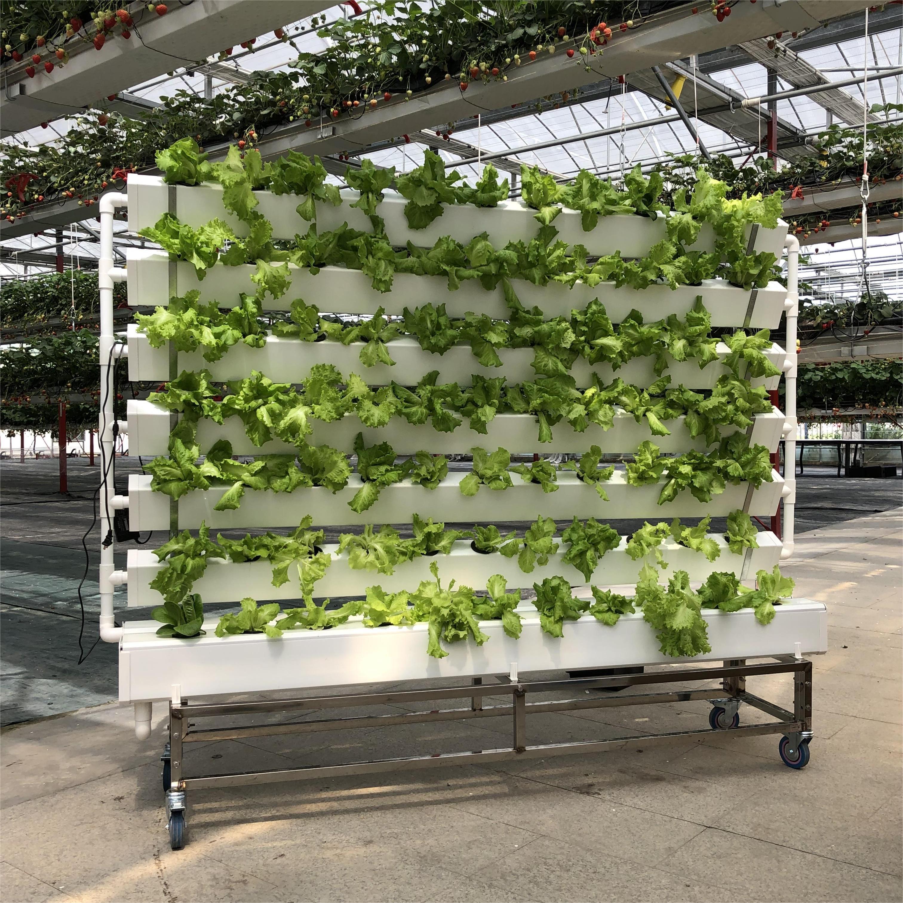 Smart Version of Double-sided Hydroponics