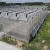 Commercial Climate-proof Traditional PC Board Greenhouse