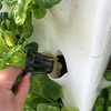Automatic Home Garden Aquaponics Hydroponic Vertical Hydroponic System for Grow Vegetables