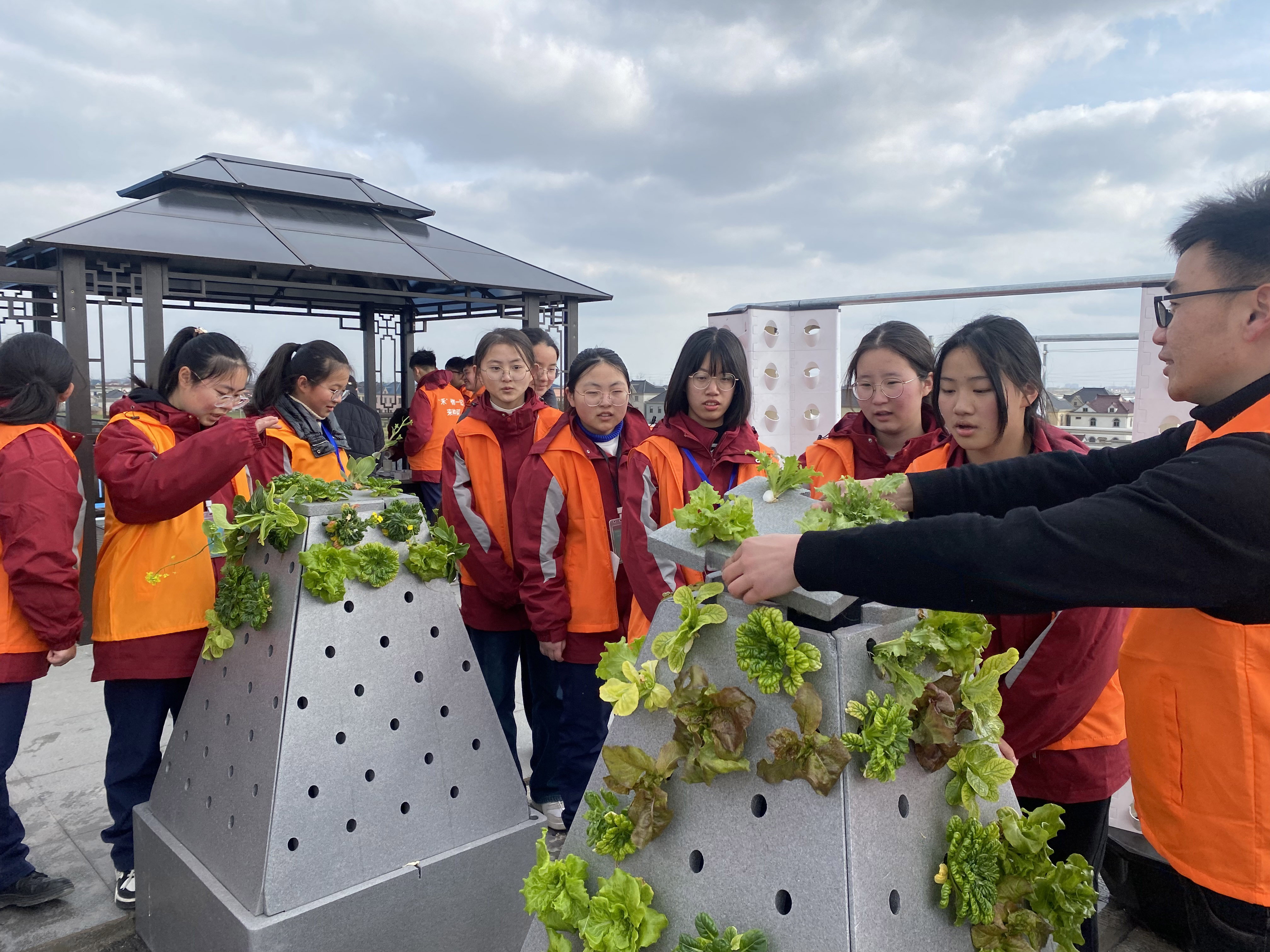 Hydroponic Smart Plant Grower