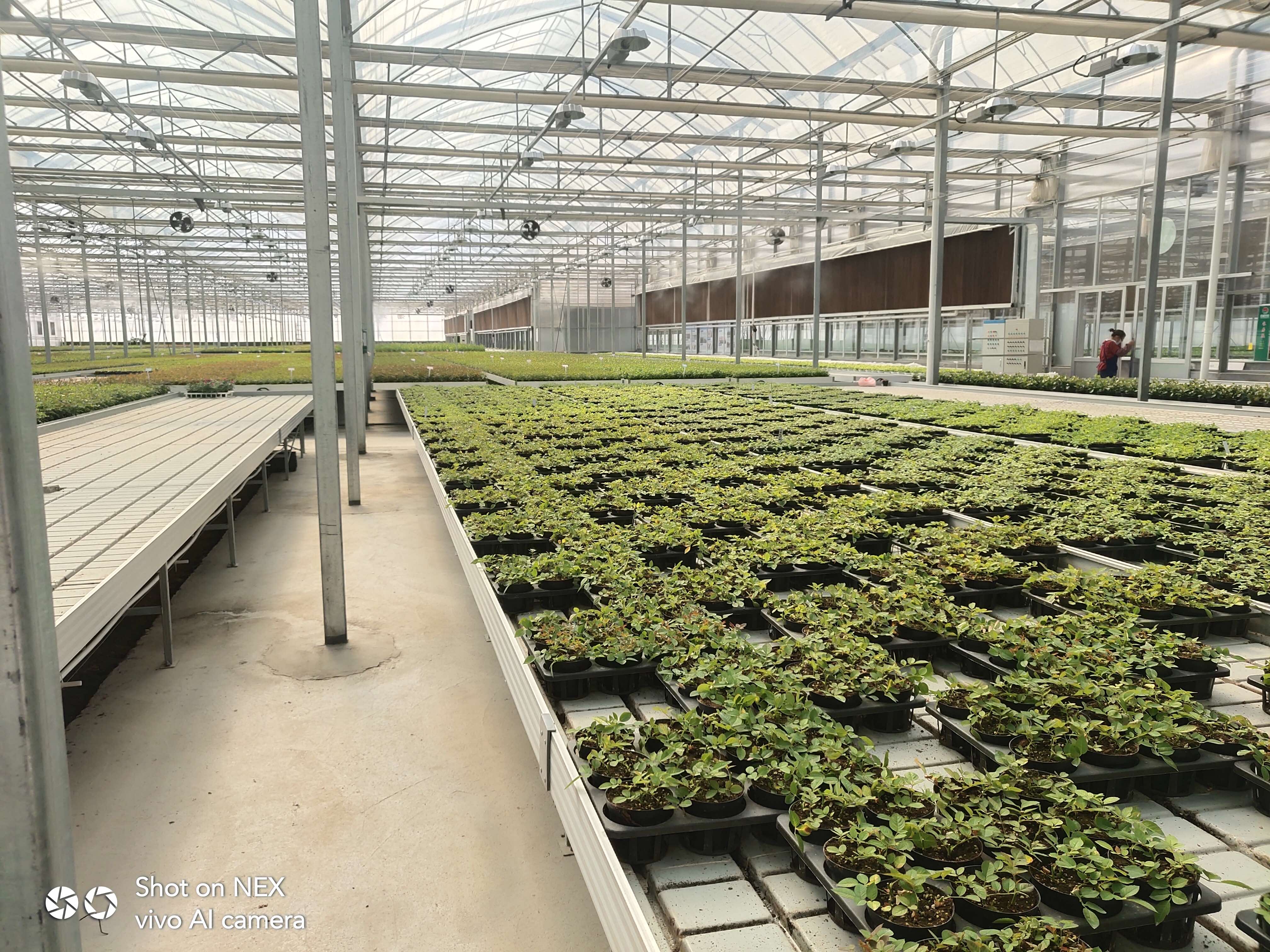 Sliding greenhouse rolling bench