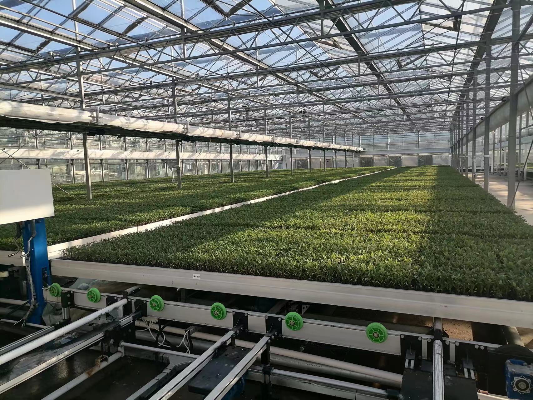 Sliding greenhouse rolling bench