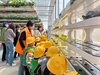 Space-efficient Smart Indoor Vertical hydroponics with led 