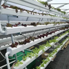 Commercial High-flow Sustainable Hydroponic Pipes