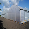 Strong UV-resistant Curved Multi-Span Greenhouse
