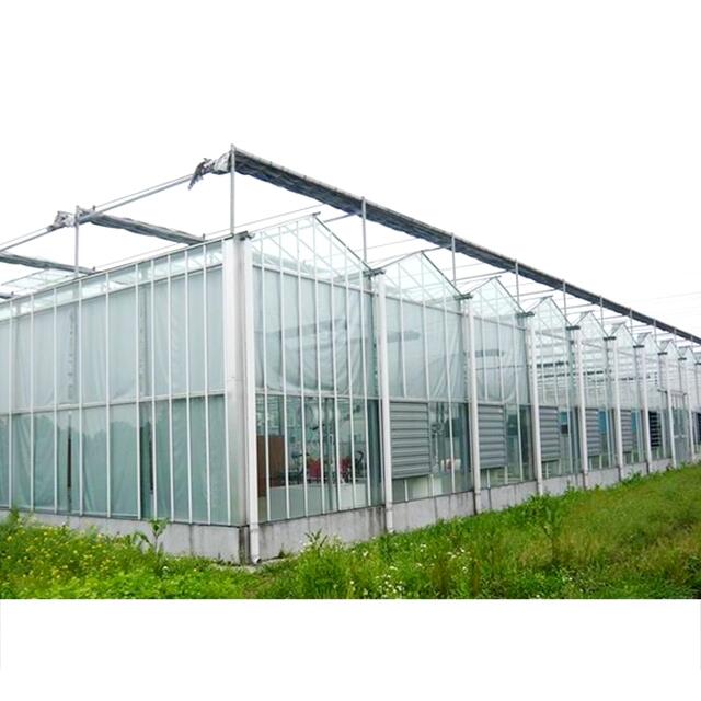 glass greenhouse