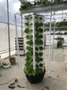 Automatic Home Garden Aquaponics Hydroponic Vertical Hydroponic System for Grow Vegetables