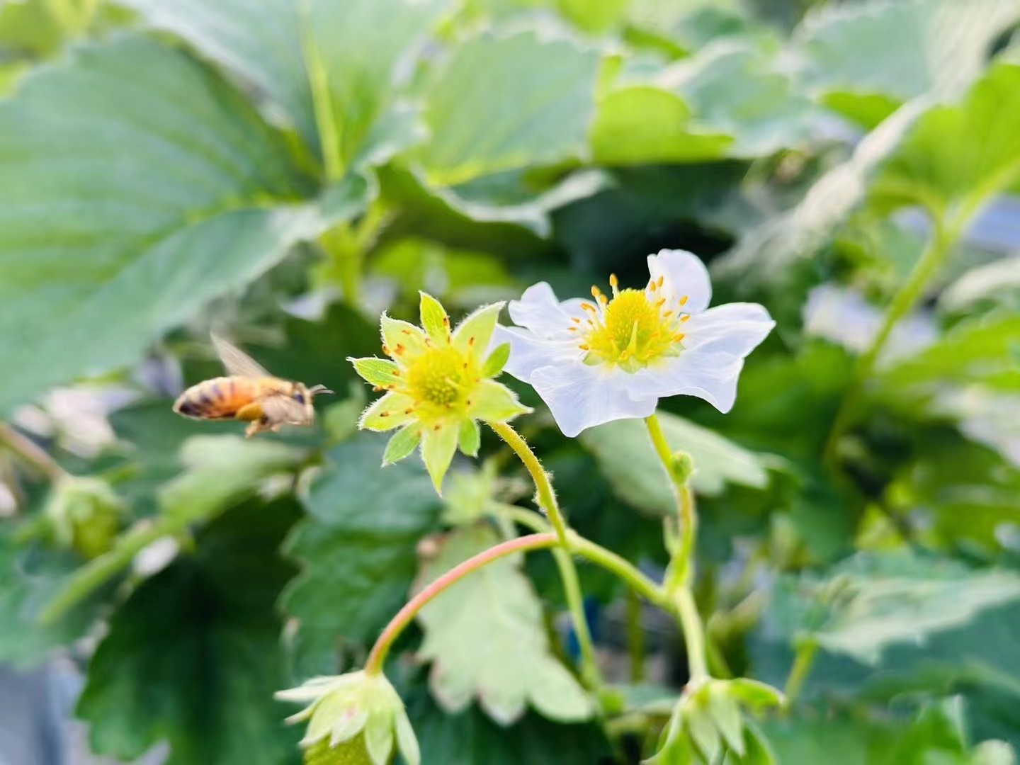 0232c5d72a1abbe8f1331f56207c45f